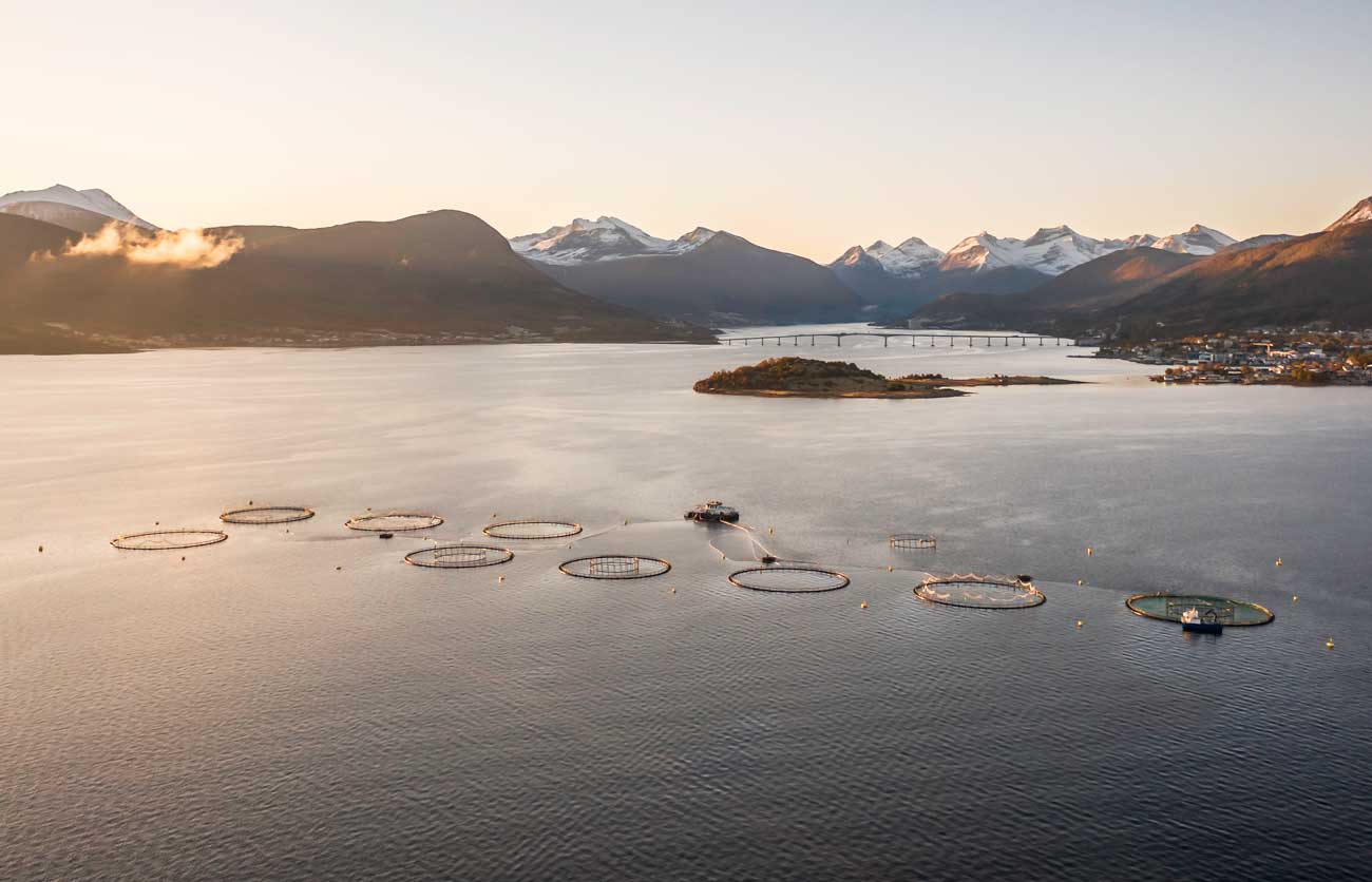aquaculture fish farm drone aerial photo