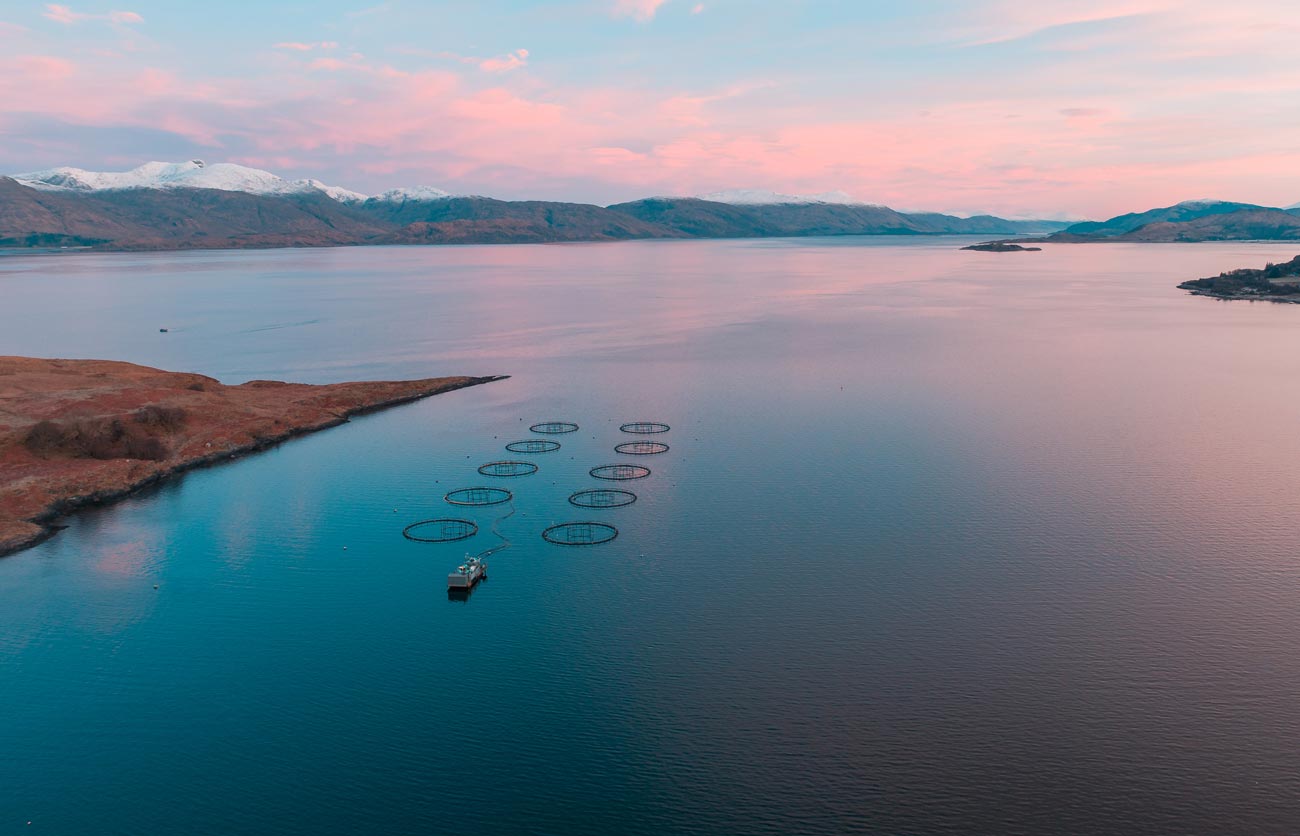 a scottish fishery at sunrise drone photograph