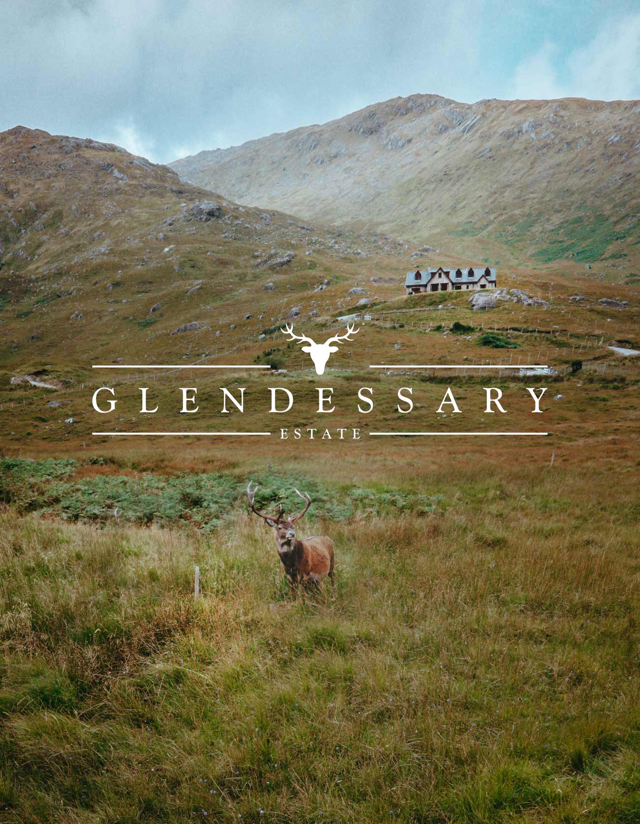 a stag stood on a shoot lodge in the scottish highlands